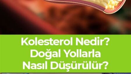 Kolesterol Düzeyi Nasıl Kontrol Edilir?